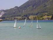 P1010023.jpg