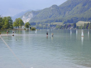 P1010035.jpg