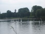 IMG_0070_5.jpg
