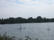 IMG_0075_10.jpg