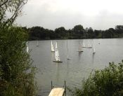 regatta16.jpg