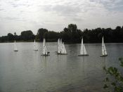 regatta19.jpg