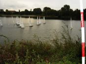 regatta25.jpg