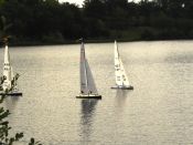 regatta6.jpg