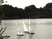 regatta7.jpg