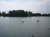 IMG_0019.jpg