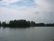 IMG_0054.jpg