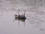 PICT0001.jpg