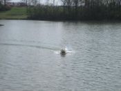 IMG_0031_1.jpg