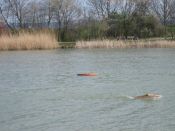 IMG_0033_3.jpg