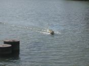 IMG_0034_4.jpg