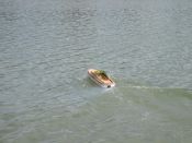 IMG_0036_6.jpg