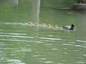 IMG_0021.jpg