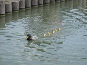 IMG_0022.jpg