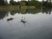 NachtDSC09940.jpg