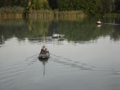 NachtDSC09941.jpg
