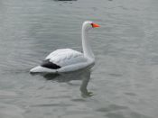 DSCN0185_13.jpg