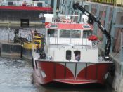 IMG_4304.jpg