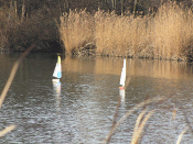 IMG_1709.JPG