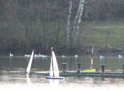 IMG_1717.JPG