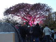 Gluehwein_Nachtfahrt_gr_13.jpg
