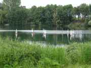 20160611_gr030.jpg