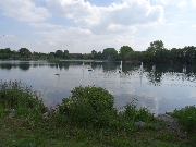 20170429_gr010.jpg