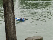 Schaufahren_2017_gr044.jpg