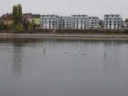 RL_Dordrecht_gr_039.jpg