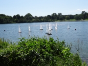 M_Boot20190818_gr_031.jpg