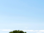 M_Boot20190818_gr_079.jpg