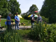 RG65_26052019_gr_136.jpg