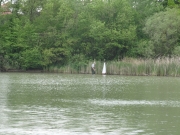 Schaufahren_2019_grl_118.jpg