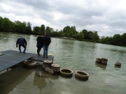 Schaufahren_2019_grl_155.jpg