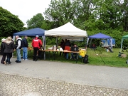 Schaufahren_2019_grl_157.jpg