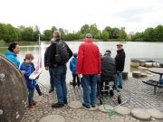 Schaufahren_2019_grl_160.jpg