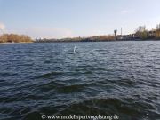RG65_Regatta_gr_001.jpg