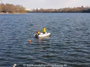 RG65_Regatta_gr_002.jpg