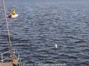 RG65_Regatta_gr_004.jpg