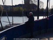 RG65_Regatta_gr_005.jpg