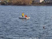 RG65_Regatta_gr_006.jpg