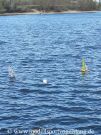 RG65_Regatta_gr_021.jpg