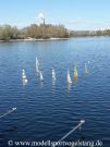 RG65_Regatta_gr_028.jpg