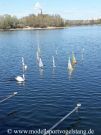 RG65_Regatta_gr_029.jpg