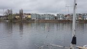 RG65_RL_Regatta_gr_006.jpg