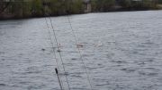 RG65_RL_Regatta_gr_007.jpg
