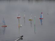 RG65_RL_Regatta_gr_018.jpg