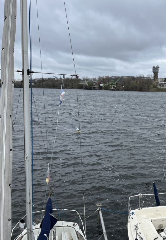 RG65_RL_Regatta_gr_036.jpg