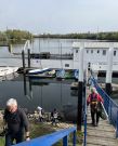 RG65_RL_Regatta_gr_0006.jpg