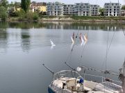 RG65_RL_Regatta_gr_0039.jpg